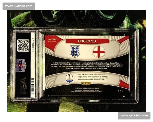 纵览世界杯历史冠军荣耀与王朝更迭全景解析传奇瞬间回顾与未来展望