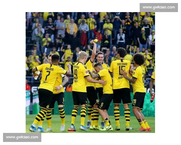 德甲联赛新赛季精彩开启 强队争锋看谁能问鼎冠军 - 副本 (2) - 副本