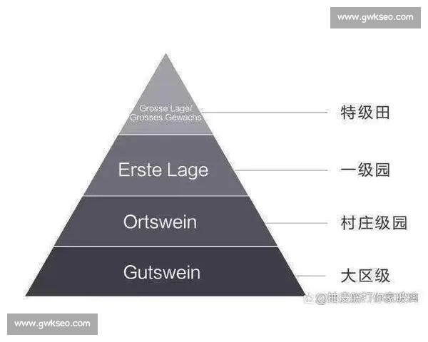 意甲足球联赛百年发展脉络与竞技格局商业价值综合研究标题分析