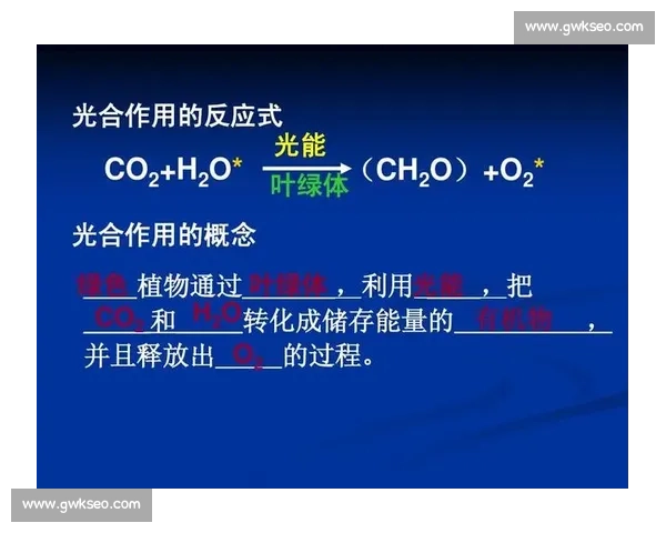 大型国际赛事的独特魅力与全球化背景下的文化交流与经济影响分析 - 副本 - 副本